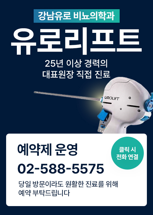 팝업